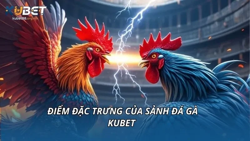 Điểm đặc trưng của sảnh đá gà KUBET 