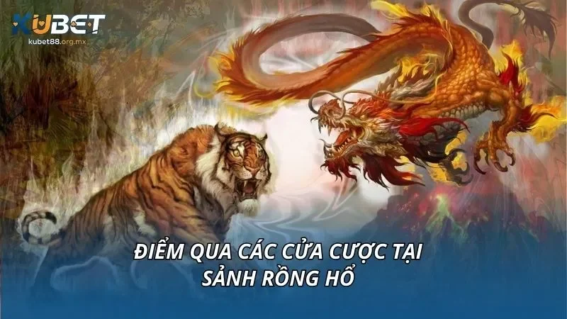 Điểm qua các cửa cược tại sảnh rồng hổ