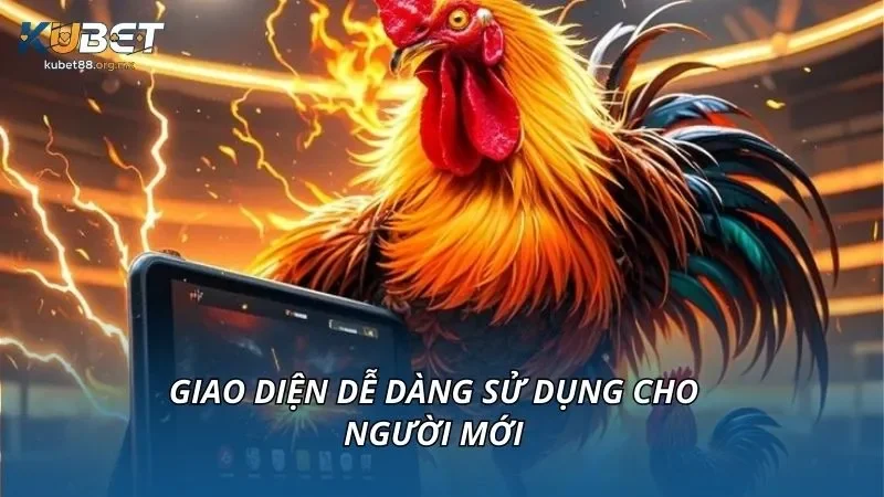 Giao diện dễ dàng sử dụng cho người mới
