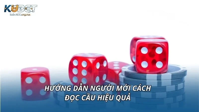 Hướng dẫn người mới cách đọc cầu hiệu quả