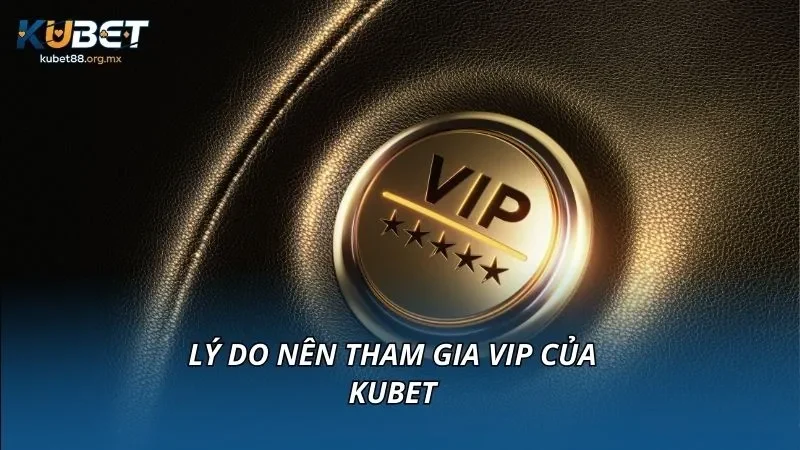 Lý do nên tham gia VIP của KUBET