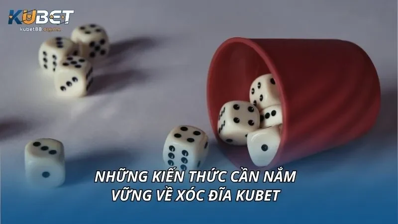 Những kiến thức cần nắm vững về xóc đĩa kubet