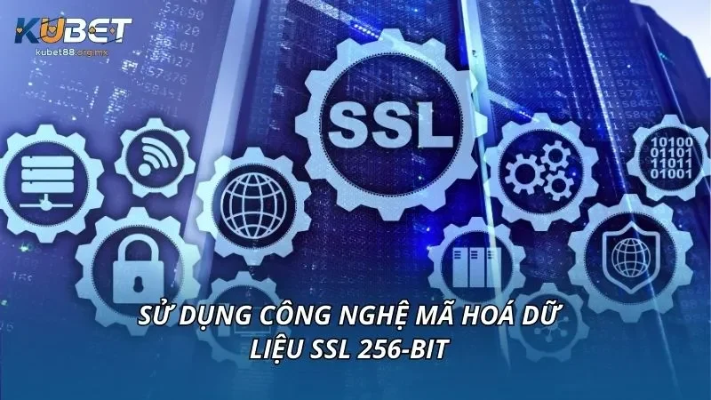 Sử dụng công nghệ mã hoá dữ liệu SSL 256-bit